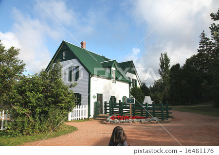 Prince Edward Island Green Give Bourne Girls of Anne of Green Gables 16481176