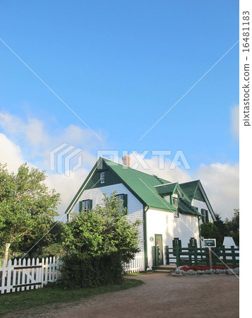 Prince Edward Island Green Gay Bulls Anne of Green Gables Home Front Prince Edward Island Green Gay Bulls Anne of Green Gables Home Front 16481183