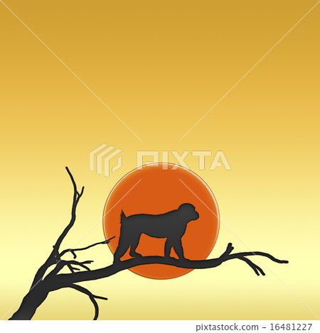 一隻猴子 16481227