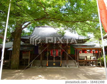 南子峽谷等 南子峽谷等 16481300