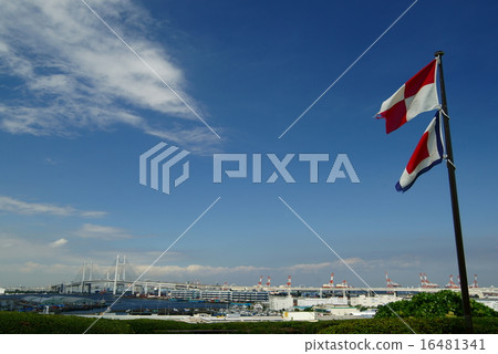 Hill park with a view of the harbor 16481341