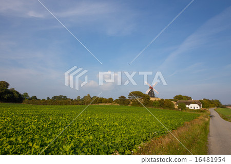 Windmill at the country road 16481954