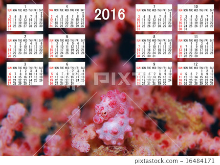 2016年日曆 16484171