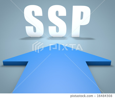 Supply Side Platform 16484308