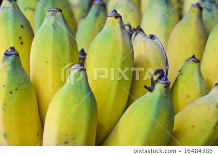 Bananas fruit 16484386