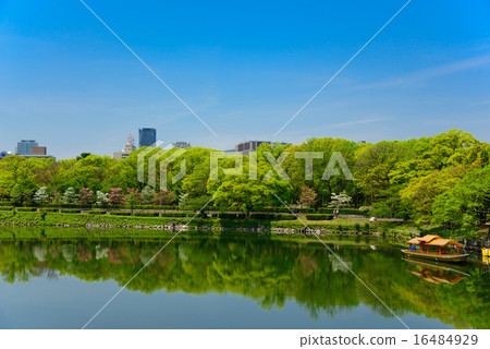 Fresh green Osaka Castle Park 16484929