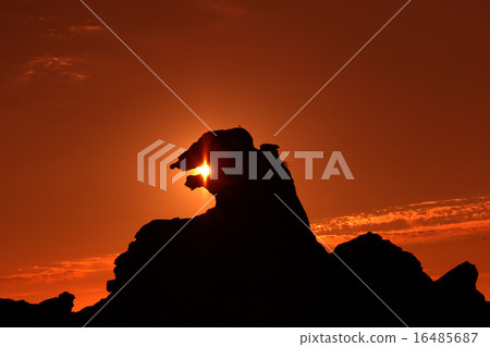 哥斯拉搖滾 16485687