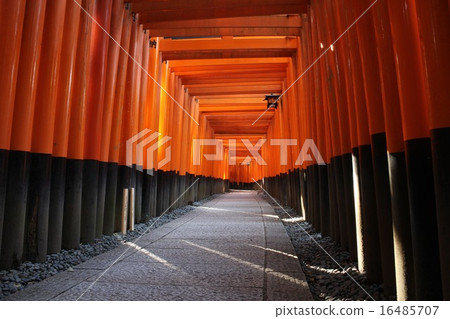 Fushimi Inari shrine Torii Torii Fushimi Inari shrine Torii Torii 16485707