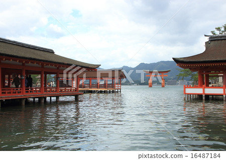 Miyajima / Itsukushima Shrine Miyajima / Itsukushima Shrine 16487184