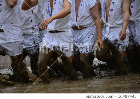 Mita festival 16487443