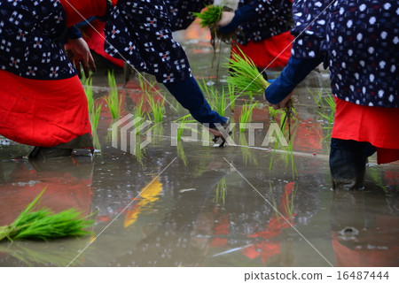 Mita festival Mita festival 16487444