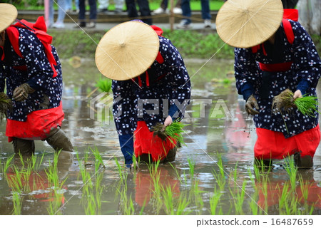 Mita festival 16487659