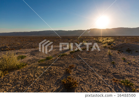 Negev desert landscape 16488500