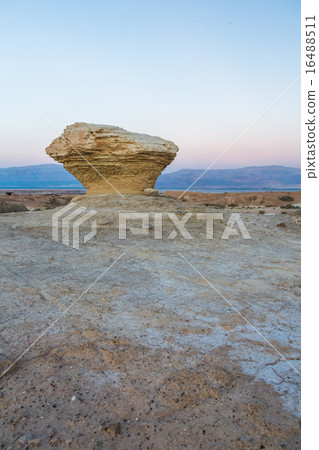 landscape of the Negev desert 16488511