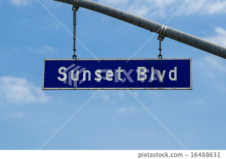 Hollywood Sunset Boulevard 16488631