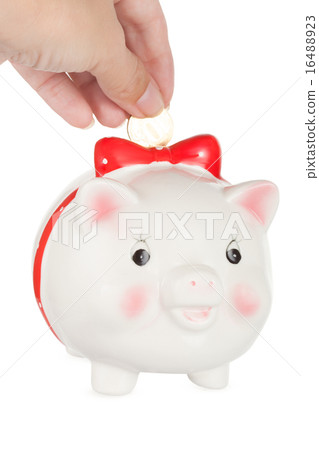 Female hand lowers a coin in a pig-coin box 16488923