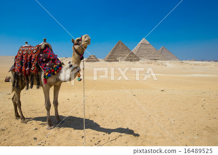 Giza in Cairo, Egypt. 16489525