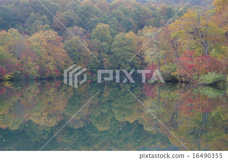 Kinshu's mirror pond (Ameyama) Kinshu's mirror pond (Ameyama) 16490355
