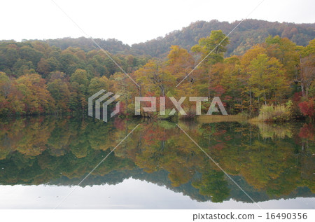 Kinshu's mirror pond (Ameyama) Kinshu's mirror pond (Ameyama) 16490356