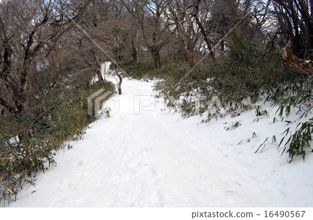 Tsukuba mountain climbing road in winter 16490567