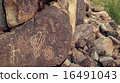 Petroglyphs 16491043