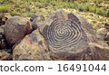 Petroglyphs 16491044
