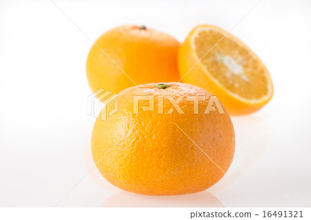 甜蜜的夏天 甜蜜的夏天 16491321