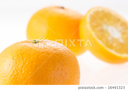 甜蜜的夏天 16491323