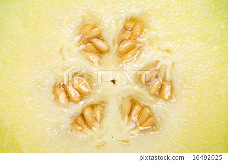 甜瓜了 甜瓜了 16492025