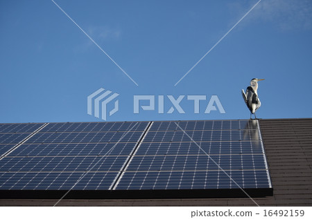 太陽能發電 16492159