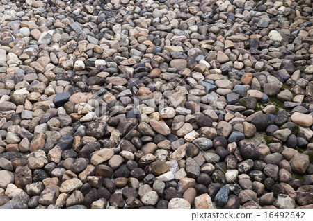 pebble stone texture background 16492842