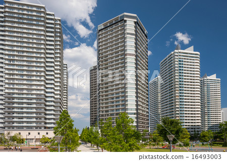 高層公寓 16493003