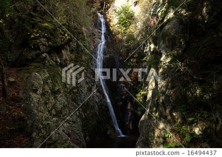 Shimomi 48th Falls 16494437