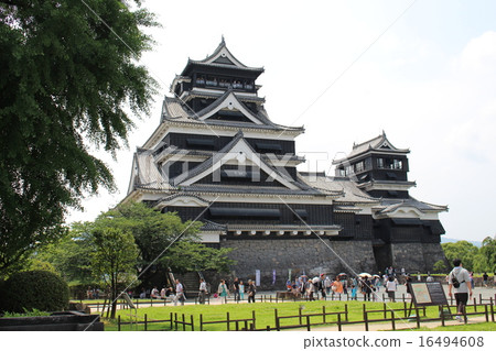 Kumamoto Castle  16494608