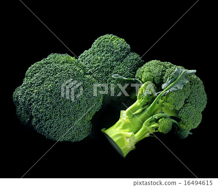 Broccoli black back 16494615