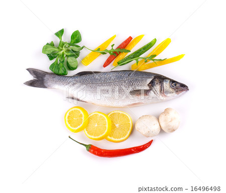 Composition of fresh seabass 16496498