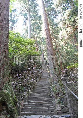 Muroyuji Stairs / Uda, Nara Prefecture Muroyuji Stairs / Uda, Nara Prefecture 16497074