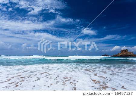 Castelejo beach, Portugal 16497127