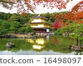 Kinkakuji 16498097