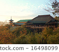 Temple 16498099