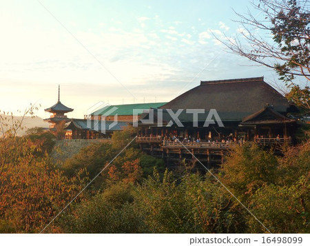 清水寺 清水寺 16498099