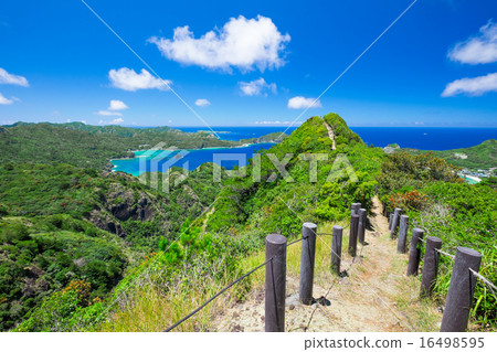 從Chichijima Asahiyama查看 16498595