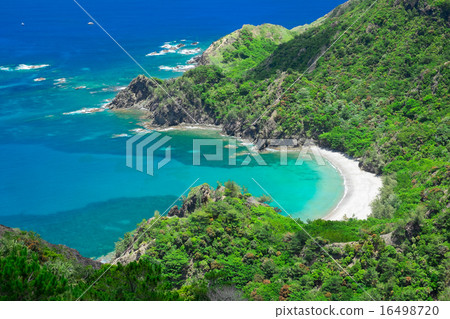 Chichijima Hatsueura Chichijima Hatsueura 16498720