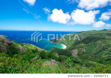 Chichijima Hatsueura 16498721