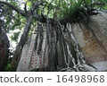 China Xiamen Gulangyu Island 16498968