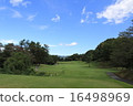 Golf course 16498969