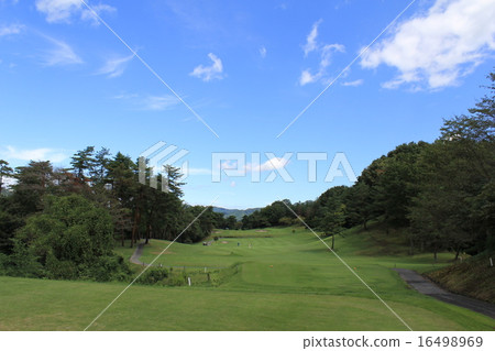 高爾夫球場 高爾夫球場 16498969