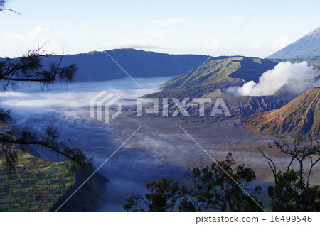 Indonesia / Java Island / Mount Bromo 16499546