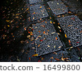 Cobble 16499800