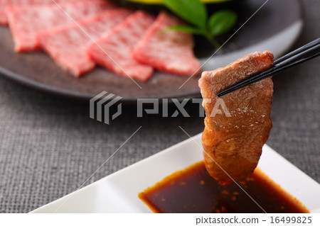 Grilled meat Grilled meat 16499825